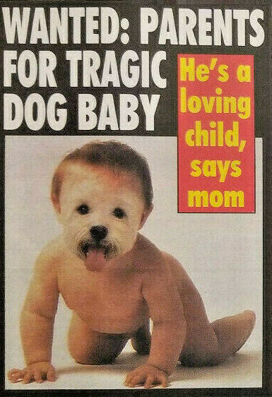 Tragic Dog Baby Sun tabloid cover